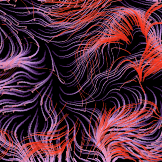 Flow Field with colors on a black background