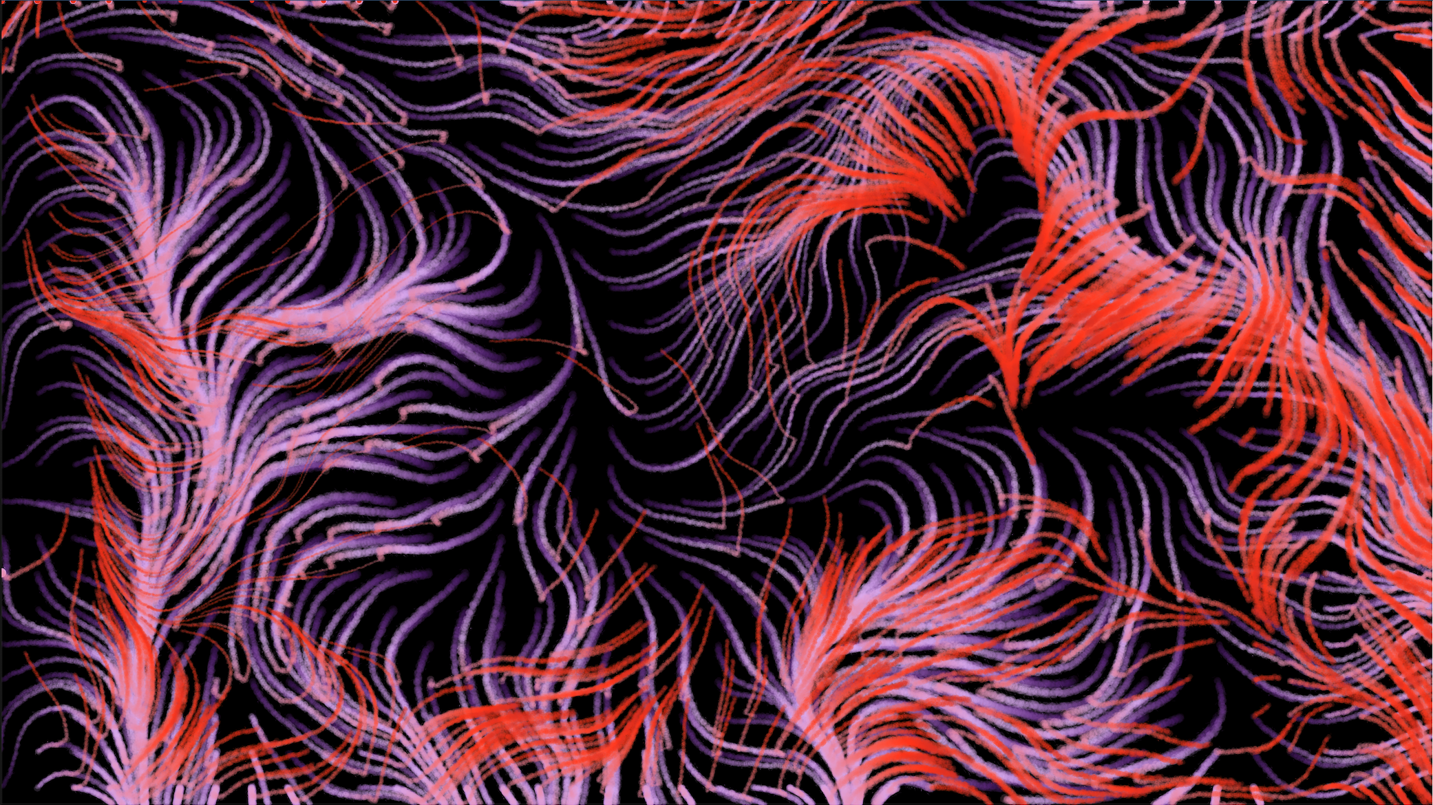 Flow Field with colors on a black background
